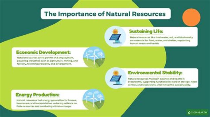Understanding the Importance of Something Natural: A Comprehensive Guide